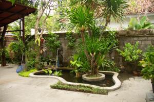 un jardín con un estanque con árboles y plantas en Sekar Waru Homestay, en Sanur