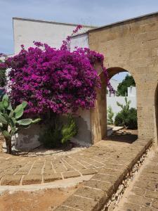 ein Büschen lila Blumen an der Seite eines Gebäudes in der Unterkunft HOTEL SoleMare Gallipoli in Gallipoli