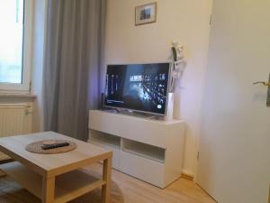 TV i/ili zabavni centar u objektu Zwei-Zimmer Wohnung in Wiesbadens Westend