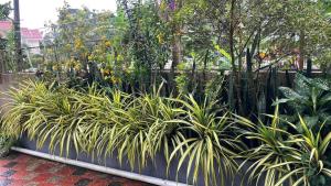 Kebun di luar CITADEL HOLIDAY HOME