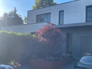 a house with a red tree in front of it at Zum EM Stadion zu Fuß - Luxus im Grünen in Cologne