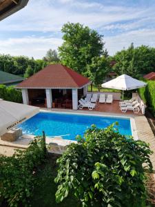 The swimming pool at or close to Stars Palić