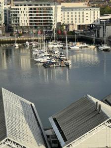 un puerto deportivo con barcos en el agua y edificios en LoughView BED & BREAKFAST, en Belfast