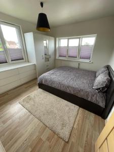 a bedroom with a bed and two windows at JZ apartamentai in Kelmė