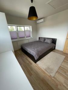 a bedroom with a bed and two windows at JZ apartamentai in Kelmė