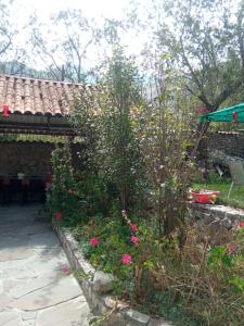 Um jardim em Casa de Mama Valle - Urubamba