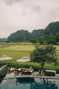 a group of people laying in lounge chairs next to a pool at Tam Coc Windy Fields in Ninh Binh