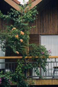 a plant on the side of a building with flowers at Tam Coc Windy Fields in Ninh Binh