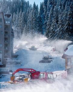 un bulldozer dans la neige avec des arbres en arrière-plan dans l'établissement STENATA Sport Apartments, à Pamporovo