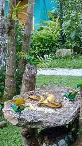 Κήπος έξω από το Casa- Chalé Recanto Das Saíras em Paraty