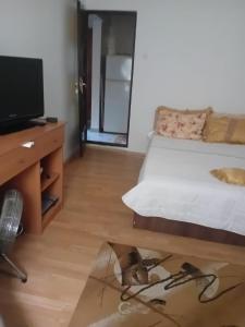 TV/trung tâm giải trí tại Apartament Neptun