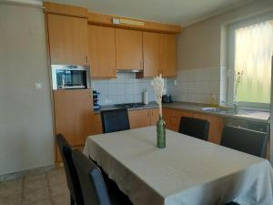 Kuchyň nebo kuchyňský kout v ubytování Wellness Park Apartman