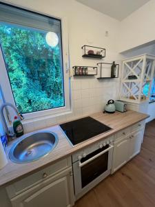 Dapur atau dapur kecil di Wohnung mit schönem Aussicht