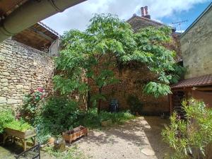 Garden sa labas ng Charmante maison de ville proche rivière