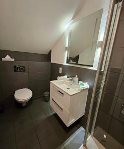 een badkamer met een toilet, een wastafel en een spiegel bij Hotel Kiose in Wenningstedt