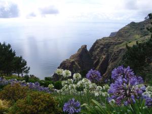 een bloemenveld met de oceaan op de achtergrond bij Hotel Jardim Atlantico in Calheta