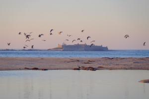 un troupeau d’oiseaux survolant une plage dans l'établissement Vistas do Minho, à Caminha