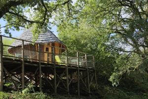 Zahrada ubytování Terragora Cabanes Glamping