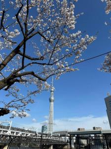 东京東京雷門ー千の森Asakusa的透过一棵树欣赏艾菲尔铁塔的景色