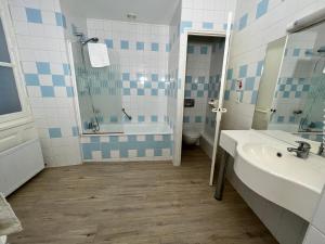 Logis Grand Hôtel De L'Europe tesisinde bir banyo