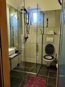 La salle de bains est pourvue de toilettes et d'une douche en verre. dans l'établissement Exakt Holding, à Tulln