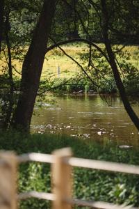 widok na rzekę z drzewami i płotem w obiekcie L'insolite par La Claire Fontaine w La-Roche-en-Ardenne