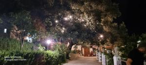 uma rua arborizada à noite com luzes em Agriturismo la Masseria em Vieste