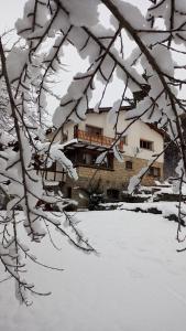 サン・カルロス・デ・バリローチェにあるPosada del Ñirecoの木の枝雪家