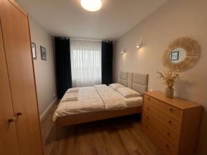 um quarto com uma cama, um espelho e uma cómoda em Apartament Broniewskiego em Busko-Zdrój