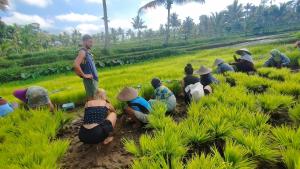 a group of people working in a field at Hide and Seek in Tetebatu