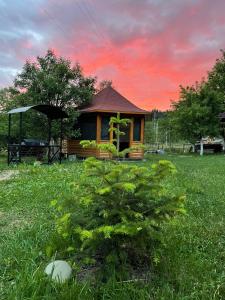 una piccola casa in un campo con un albero di Садиба Карпат a Verkhovyna