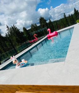 Piscina a Pensjonat Orlik Mountain Resort&SPA o a prop