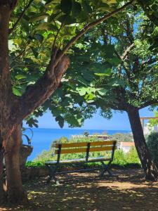 Φυσικό τοπίο κοντά σε αυτό το διαμέρισμα