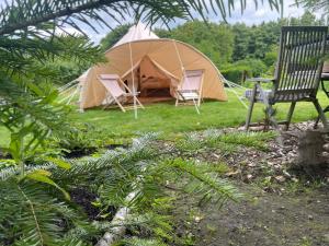 สวนหย่อมนอก Cozy Garden Glamping