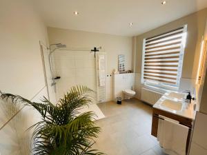 a bathroom with a shower and a sink and a toilet at COZY, neue 3 Zimmer Ferienwohnung Goslar Altstadt in Goslar