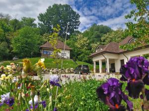 Provence Suceava के बाहर एक बगीचा