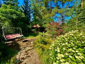 Zahrada ubytování Ferienhaus im Grünen mit Kamin