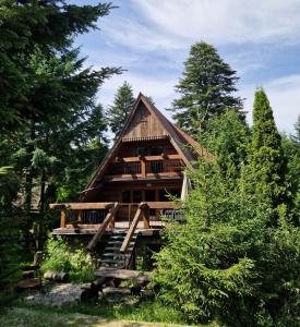 uma cabana de madeira no meio de uma floresta em Dacza Zakątek em Falsztyn