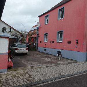 um gato parado num estacionamento ao lado de um edifício vermelho em Naturfreunde Speyer 2P, altrheinnahe, hundefreundlich em Römerberg