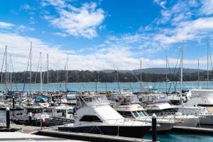 a bunch of boats docked in a harbor at Harbour Marina - Absolute waterfront apartment in Batemans Bay