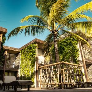 uma palmeira e um banco em frente a um edifício em Apenunga Eco Hotel em Jericoacoara