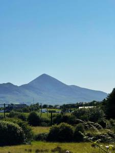 une vue sur un champ avec des montagnes en arrière-plan dans l'établissement Ashville Guesthouse, à Westport