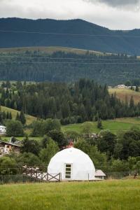 una grande tenda bianca in un campo con una montagna di Глемпінг Хатинка на полонині a Krivopolʼye