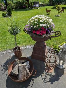 eine Vase mit Blumen im Garten in der Unterkunft Ferienwohnung Soreth in Schmallenberg