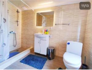 a bathroom with a toilet and a sink and a shower at Гостевой дом золотые пески in Zatoka