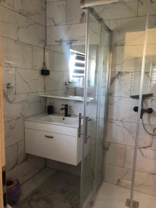 bagno con lavandino e doccia in vetro di Apartma Šmit (1) a Vir (Puntadura)