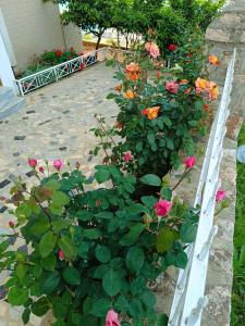 un jardín con flores rosas y naranjas en Elision Apartments, en Sarandë