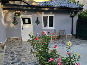 A garden outside The Purple House-Villa in Bucharest