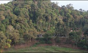 une colline avec une maison au milieu d'une forêt dans l'établissement Three Hills Resort Coorg, à Madikeri