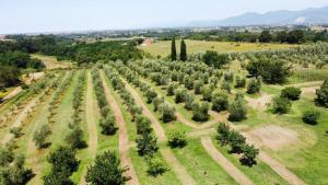 Un paisaje natural cerca de la casa de vacaciones